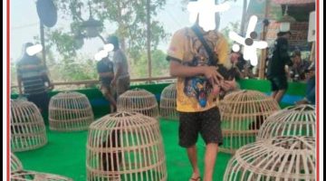 Bukti Kuat Perjudian di Manduro Diabaikan, Kepercayaan Masyarakat pada Hukum Tergerus